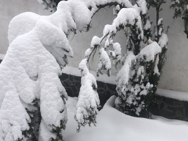 Обилният снеговалеж в страната предизвика проблеми с електрозахранването в областите