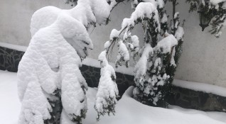 Обилният снеговалеж в страната предизвика проблеми с електрозахранването в областите