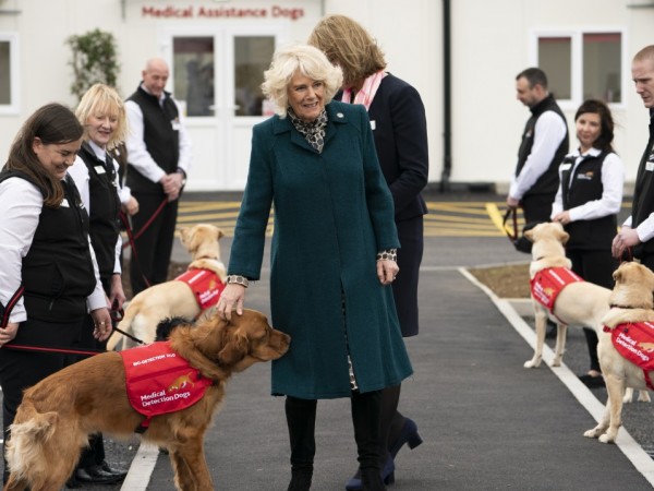 Британската благотворителна организация Medical Detection Dogs обедини усилията си с