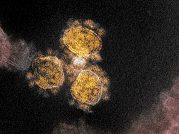 Новият коронавирус е най-много активен при температура от около 4