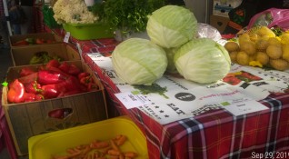 Фермери предлагат пазара им в София отново да бъде отворен
