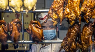 Шокиращи кадри от пазари в Азия заклани диви животни и
