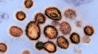 Разузнавателните служби на САЩ смятат че новият коронавирус вероятно има