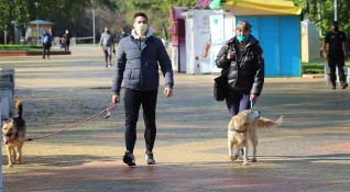 Жители на София осиновяват кучета от приюти за да бъдат