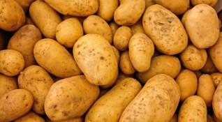 Белгия отправи призив към гражданите да консумират повече картофи по