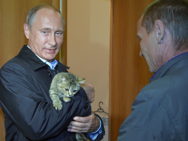 Сибирската котка с име Мир, която беше собственост на президента