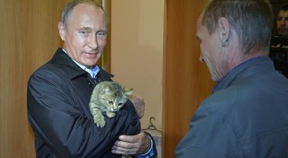 Сибирската котка с име Мир която беше собственост на президента