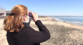 Бургазлии са притеснени от десетки мъртви птици на плажа предаде