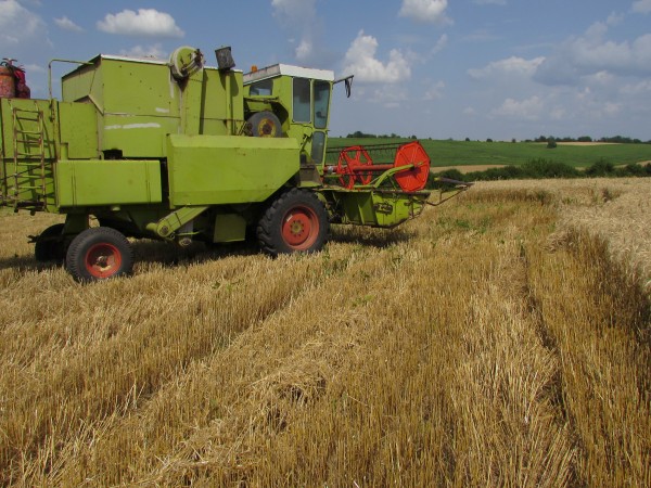 Коронавирусната криза дава възможности на селскостопанския сектор в България. Държавата