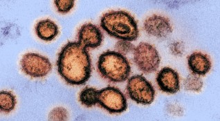 Проникне ли веднъж в човешкия организъм коронавирусът напада не само