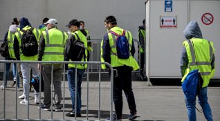 Германия забранява използването на временни работници в кланиците след бум