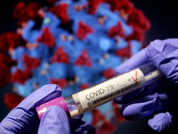 Преди коронавируса друг вирус уплаши света - свинският грип. През