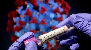 Преди коронавируса друг вирус уплаши света свинският грип През 2009