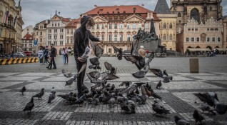 Чешкото правителство взе решение да отвори границите си и да