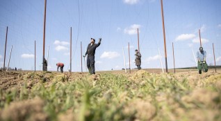 Германия от следващата седмица ще облекчи ограниченията за пристигане в