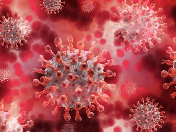 "Италианско проучване доказа, че вирусът на COVID-19 вирее във фините