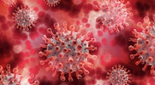 Италианско проучване доказа че вирусът на COVID 19 вирее във фините