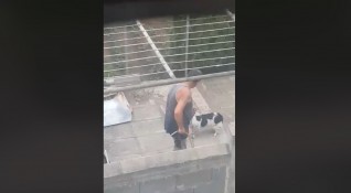 Клип на който се вижда как мъж бие кучето си