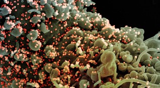 Китай публикува данни за генома на коронавируса причинил най новото огнище