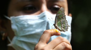 Починалите в Латинска Америка и Карибите от коронавирусна инфекция вече