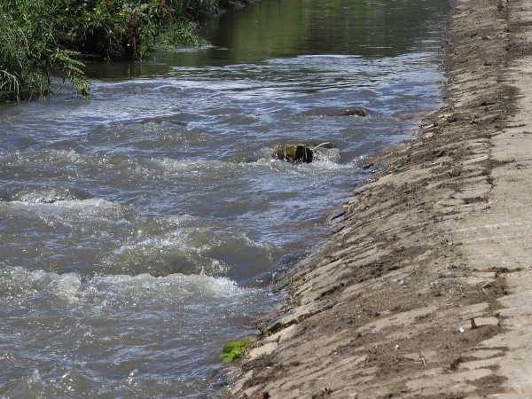 Криминалисти са намерили тялото на удавен мъж в река Поройна