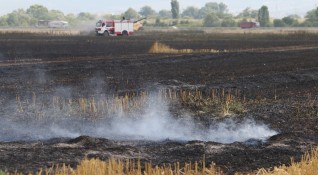 Пожар пламна в нива с узрял ечемик край село Василовци