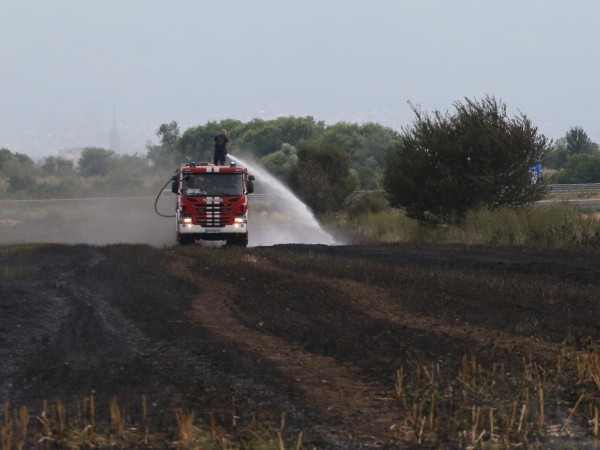 Седемдесет декара пшеница са изгорели при пожар в землището на