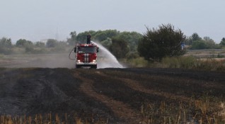 Седемдесет декара пшеница са изгорели при пожар в землището на