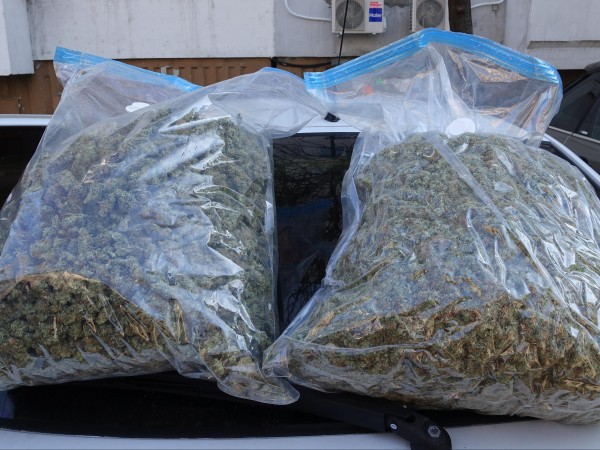 Съвременно оборудвана оранжерия за отглеждане на марихуана откриха полицаи в
