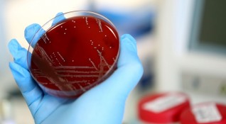 Учени в Китай предупреждават че са открили нов вирус който