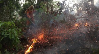 През юни пожарите в бразилската част на Амазонската екваториална гора