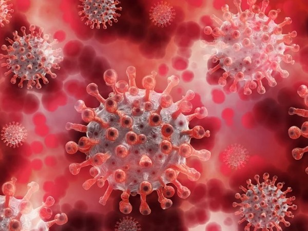 Има лек спад на новозаболелите от коронавирус в област Сливен
