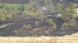 236 са регистрираните пожари в горските територии от началото на