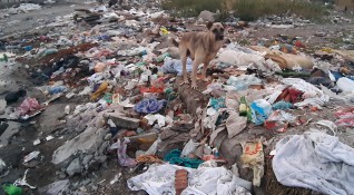 Над 76 тона отпадъци са извозени от нерегламентирани сметища в