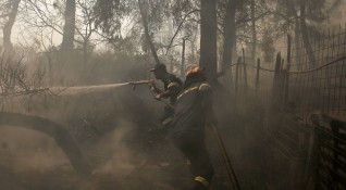 Гръцките огнеборци се опитват да овладеят голям горски пожар разпалван