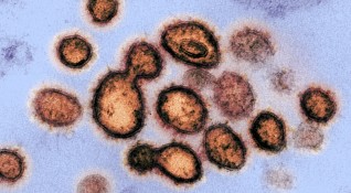Стряскащи данни концентрацията на опасни аерозолни частици заразени с коронавирус