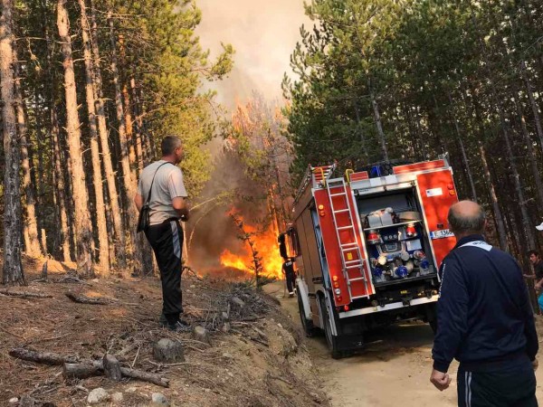 Голям пожар е избухнал близо до тополовградското село Светлина, съобщават