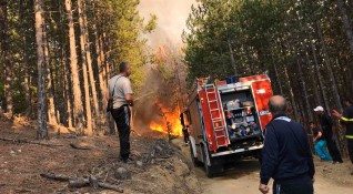 Голям пожар е избухнал близо до тополовградското село Светлина съобщават