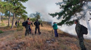 Пожарът в гористата местност в Средна гора край старозагорското село