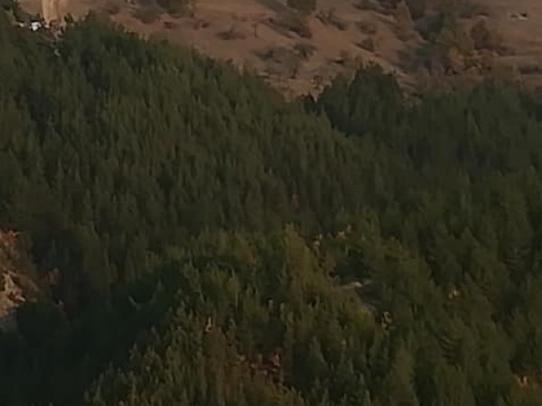 Възрастен столичанин се загуби в гората край летовището "Атолука", намиращо