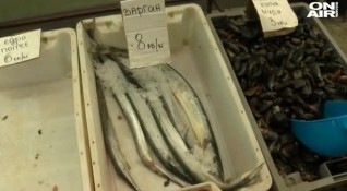 В разгара на сезона прясната черноморска риба по ресторантите по