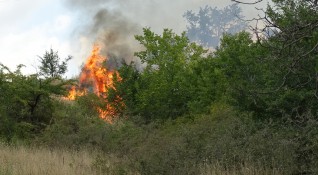 Пожар на приблизителна площ от 300 декара е възникнал близо