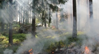При голям пожар край Свиленград са изгоряли 1000 декара гора