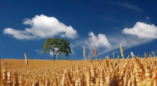 Българската асоциация на собствениците на земеделски земи БАСЗЗ изразява категоричното