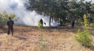 Пожар бушува между хасковските села Александрово и Константиново Огънят е
