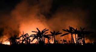 Пожарите в амазонската джунгла в Бразилия са се увеличи като
