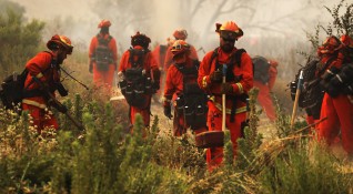 Пожарникари се борят с мащабен горски пожар в Калифорния който