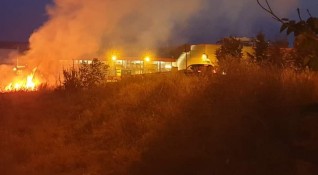 Голям пожар е избухнал в борова гора между харманлийските села