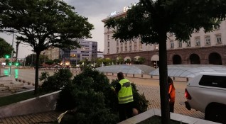 Силна буря събори дървета и затрудни движението в София Най обилни