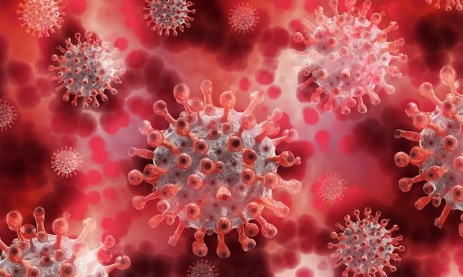 Почти 5 млн. души са заразени с коронавирус в САЩ